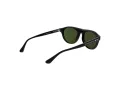 Web Gafas de Sol WE 0377 52N