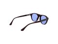Web Gafas de Sol WE 0377 92V