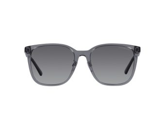 Emporio Armani Gafas de Sol 4206D 5029T3