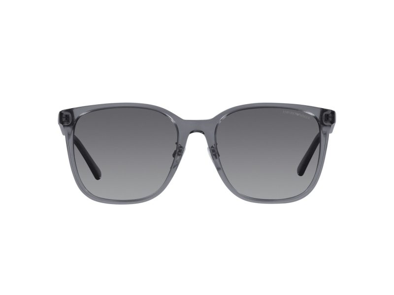 Emporio Armani Gafas de Sol 4206D 5029T3