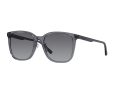 Emporio Armani Gafas de Sol 4206D 5029T3