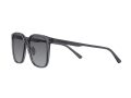 Emporio Armani Gafas de Sol 4206D 5029T3