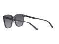 Emporio Armani Gafas de Sol 4206D 5029T3
