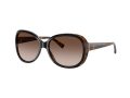Giorgio Armani Gafas de Sol 8047 504913