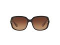 Coach L149 Gafas de Sol 8169 535313