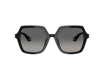 Giorgio Armani Gafas de Sol 8193U 500119