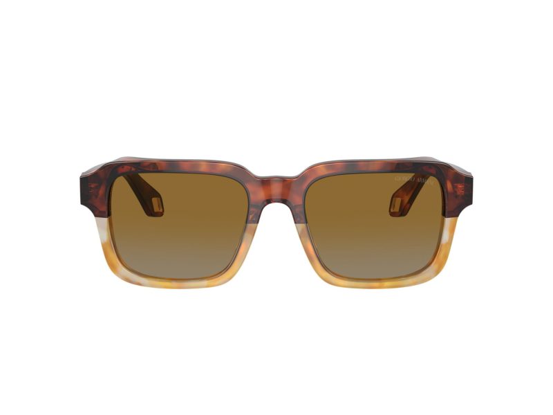 Giorgio Armani Gafas de Sol 8194U 6034B2