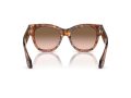 Giorgio Armani Gafas de Sol 8195U 603351