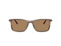 Giorgio Armani Gafas de Sol 8218 6167M4