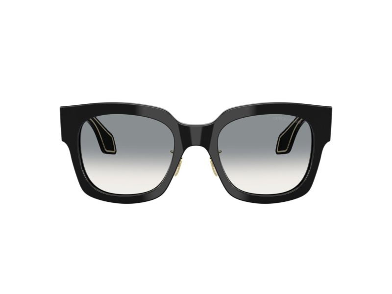 Giorgio Armani Gafas de Sol 8223 500111