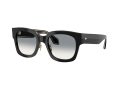 Giorgio Armani Gafas de Sol 8223 500111