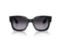 Giorgio Armani Gafas de Sol 8223 61608G