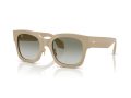 Giorgio Armani Gafas de Sol 8223 61618E