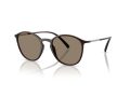 Giorgio Armani Gafas de Sol 8233U 6239M4