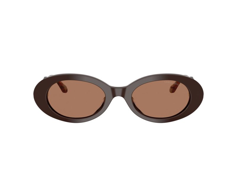 Giorgio Armani Gafas de Sol 8234U 622773