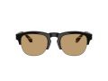 Giorgio Armani Gafas de Sol 8238 587573