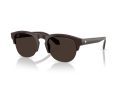 Giorgio Armani Gafas de Sol 8238 622073