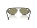 Giorgio Armani Gafas de Sol 8239 62422A