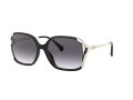Coach L1116 Gafas de Sol 8280U 50028G