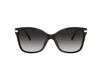 Coach C3446 Gafas de Sol 8316 50028G