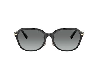 Coach C6199 Gafas de Sol 8332D 500211