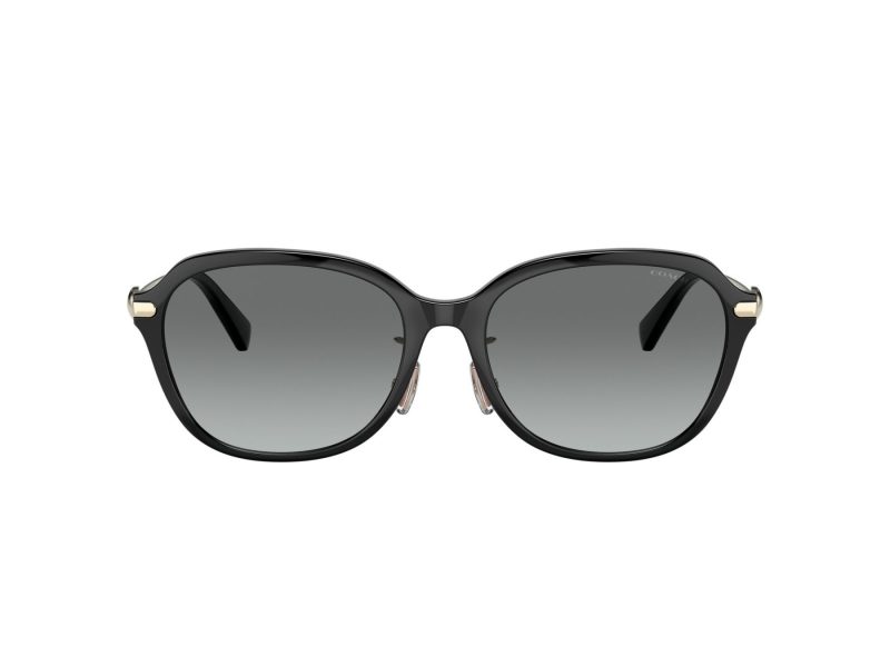 Coach C6199 Gafas de Sol 8332D 500211