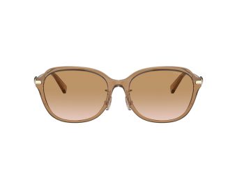 Coach C6199 Gafas de Sol 8332D 565413