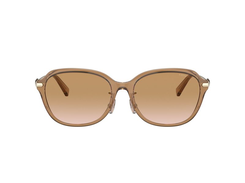 Coach C6199 Gafas de Sol 8332D 565413