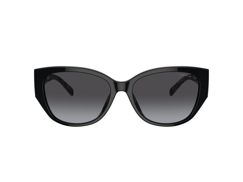 Coach Ch563 Gafas de Sol 8362U 50028G