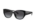 Coach Ch563 Gafas de Sol 8362U 50028G