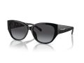 Coach Ch563 Gafas de Sol 8362U 50028G