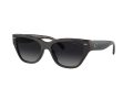 Coach Ch570 Gafas de Sol 8370U 5764T3