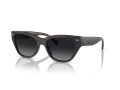 Coach Ch570 Gafas de Sol 8370U 5764T3