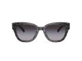 Coach Cl920 Gafas de Sol 8379U 55208G