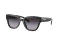 Coach Cl920 Gafas de Sol 8379U 55208G