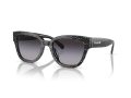 Coach Cl920 Gafas de Sol 8379U 55208G