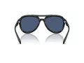 Coach Cw183 Gafas de Sol 8406U 500287