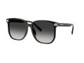 Coach Cw419 Gafas de Sol 8413BD 50023C