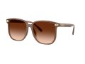 Coach Cw419 Gafas de Sol 8413BD 580874