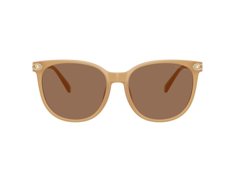 Coach Cw428 Gafas de Sol 8414BD 585473