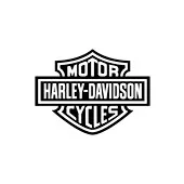 Gafas Harley-Davidson