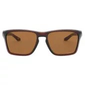 Gafas de sol marrones
